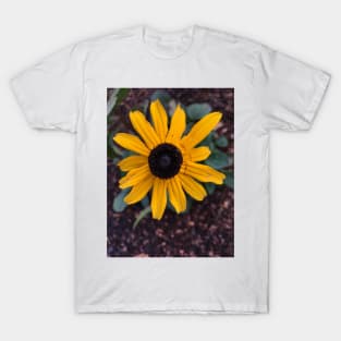 Black Eyed Susan T-Shirt